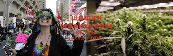 гидропоника Бородино