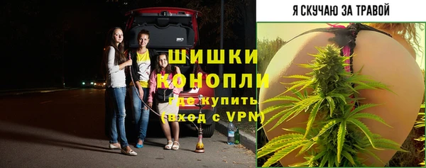 гидропоника Бородино